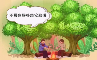 优秀森林防火短视频制作，森林防火小视频